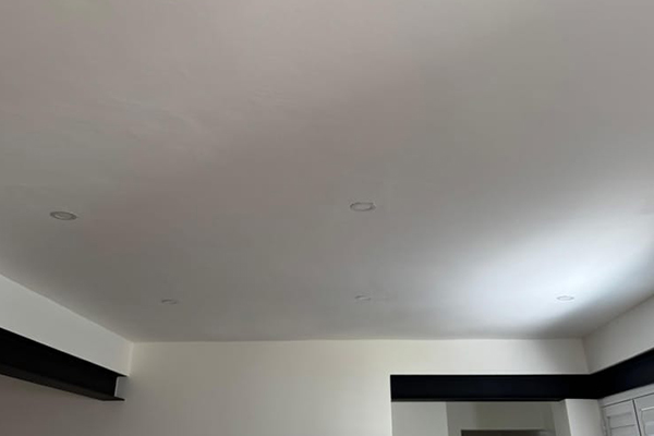 Ceiling and Partition